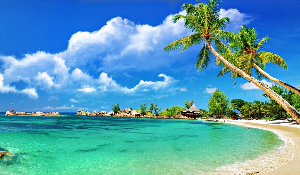 cropped-Coconut-Tree-Beach-HD-Wallpaper-1024x640